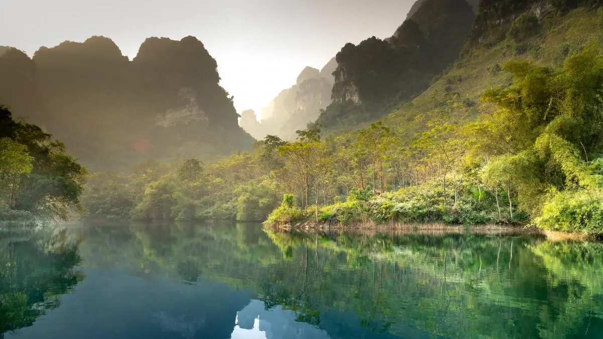 独特智能可靠性